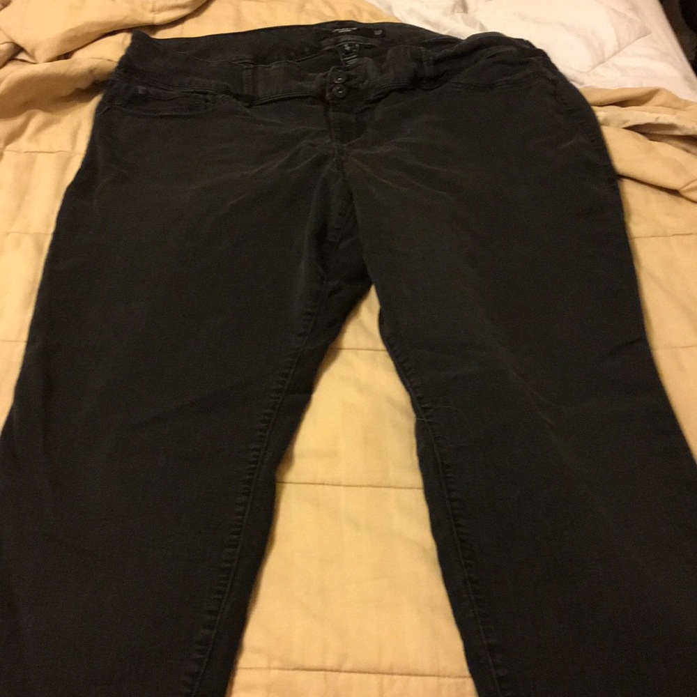 Torrid Jeggings